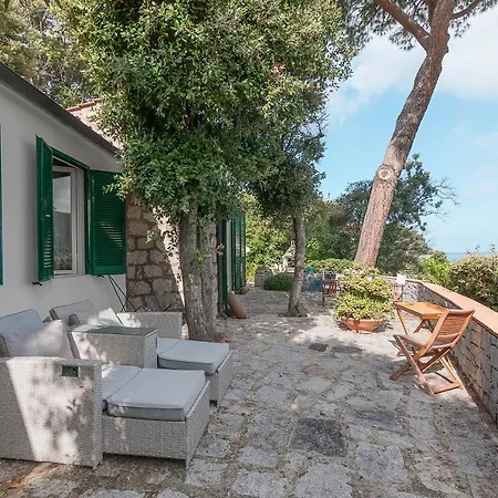Villa Lo Scoglio A Picco Sul Mare Procchio (Isola d'Elba)